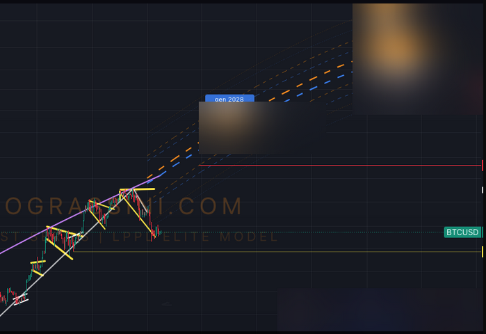 Bitcoin LPPL Elite Model Math