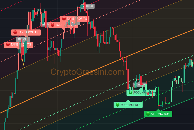Bitcoin Elite Tracking