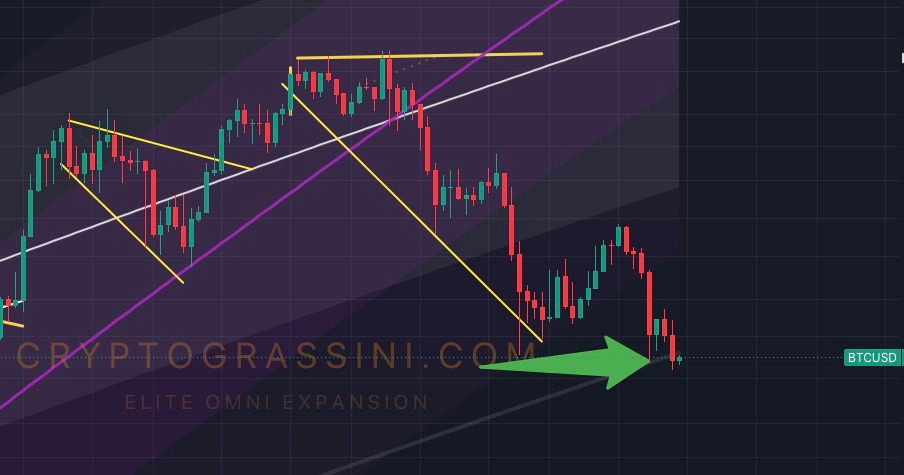 Il fondo del ciclo di Bitcoin individuato graficamente dall'indicatore Elite Omni Expansion